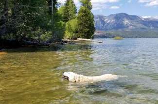 Donner Lake